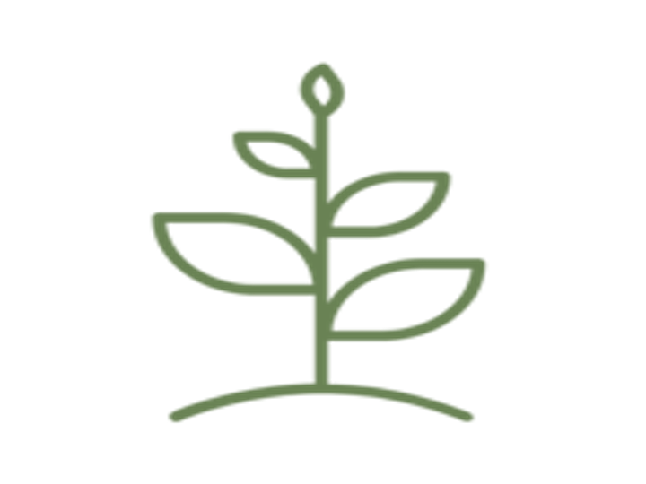 Schonfield Consulting